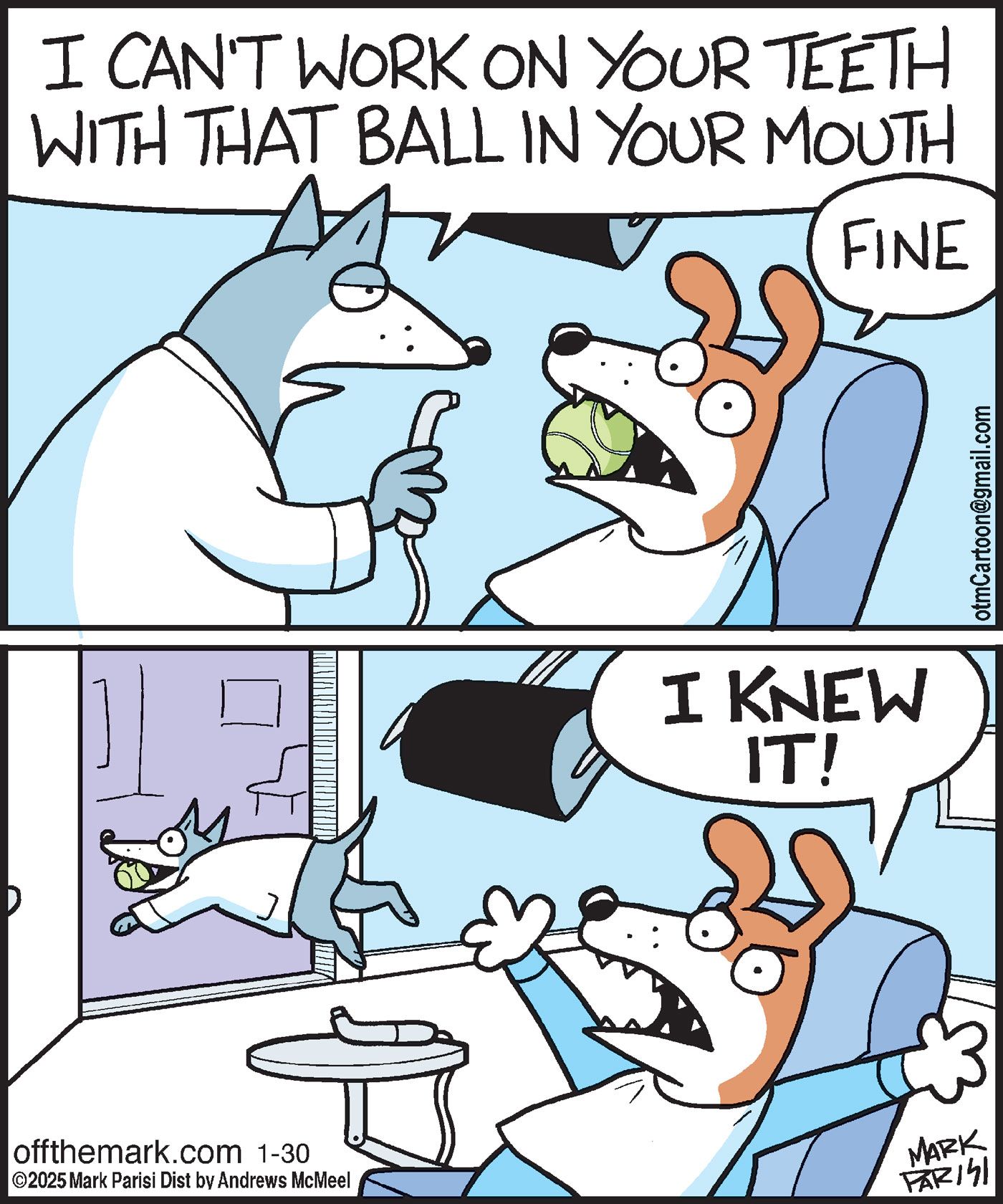 Off the Mark: At the dentist, a dog grips a tennis ball. Dentist says, “I CAN’T WORK ON YOUR TEETH WITH THAT BALL.” He tosses it outside; the dog sprints after it, yelling, “I KNEW IT!”